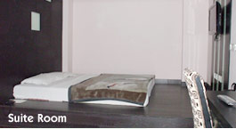 Suite,4 Star Boutique Hotels in Delhi,Airport Hotels in Delhi